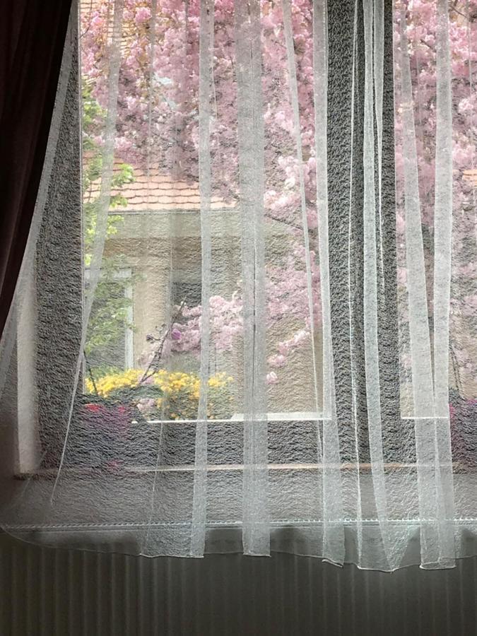 Casa Marherita Appartman Hajduszoboszlo Luaran gambar