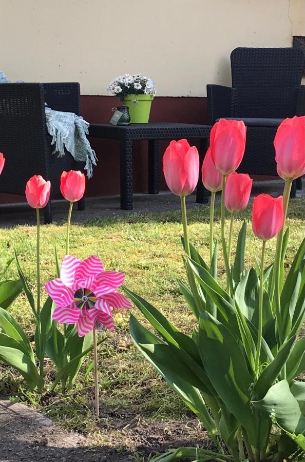 Casa Marherita Appartman Hajduszoboszlo Luaran gambar